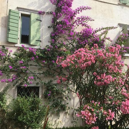 Villa Cisano Residenza D'Epoca Bardolino Exteriér fotografie