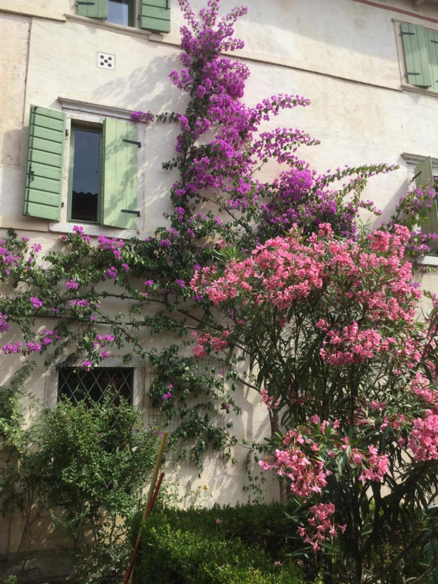 Villa Cisano Residenza D'Epoca Bardolino Exteriér fotografie