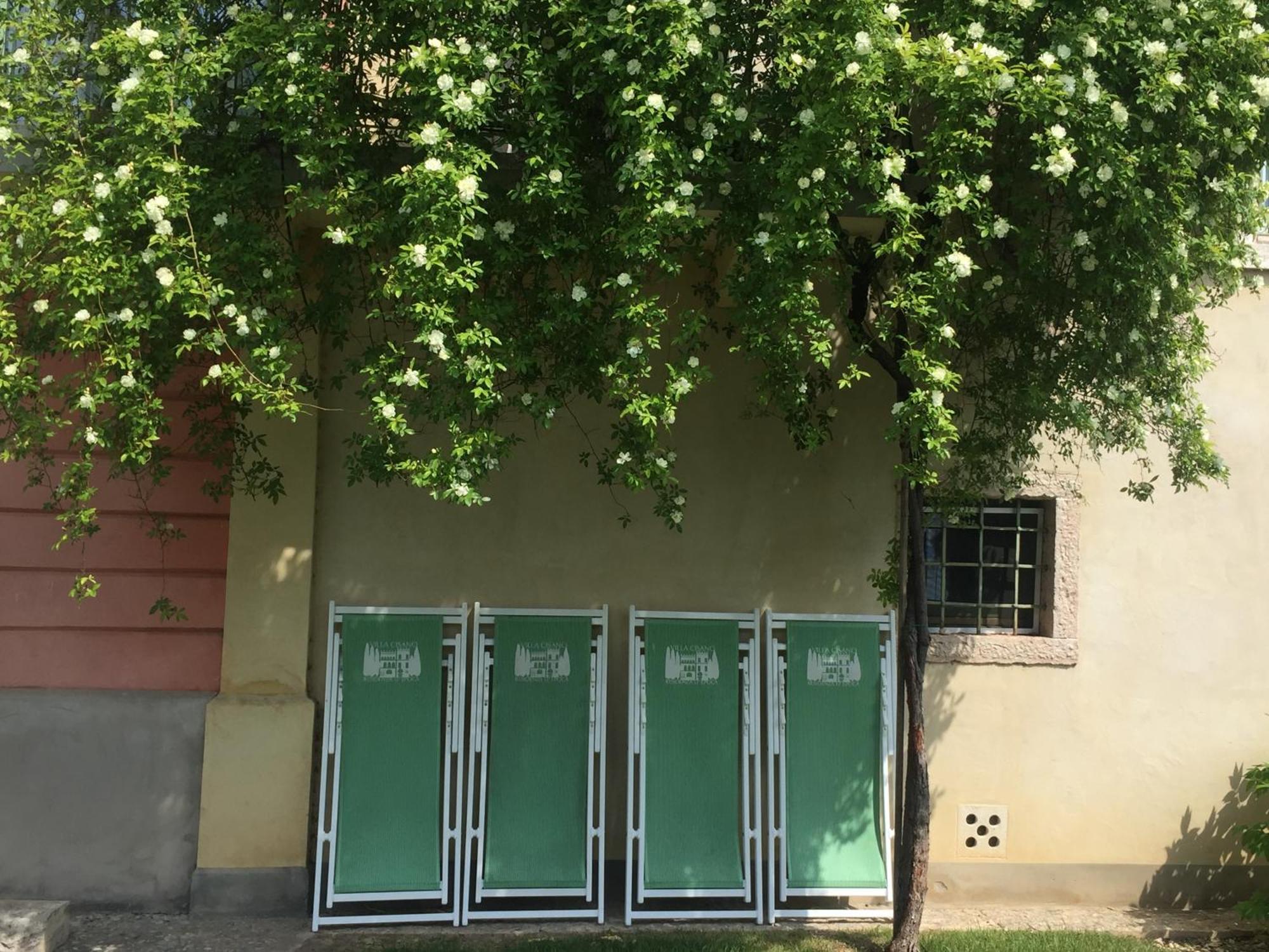 Villa Cisano Residenza D'Epoca Bardolino Exteriér fotografie